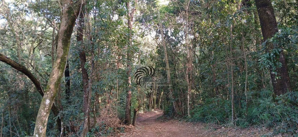 Loteamento e Condomínio, 1000 m² - Foto 9