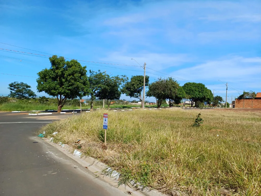 Terreno - Foto 4