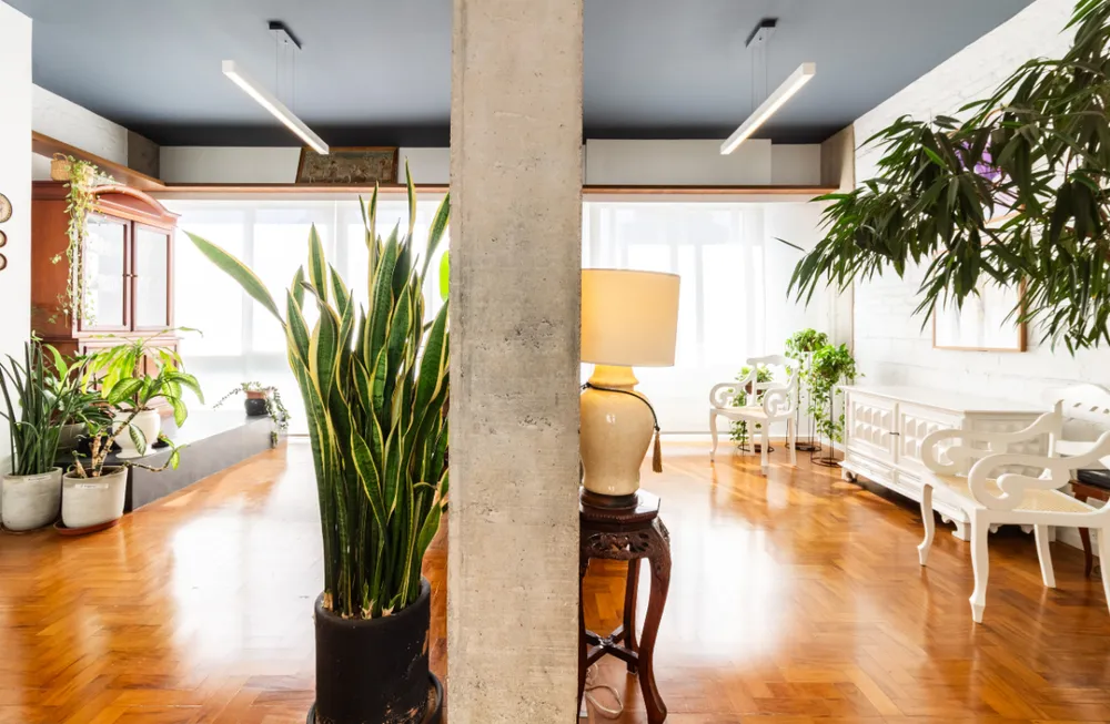 Apartamento, 2 quartos, 100 m² - Foto 2