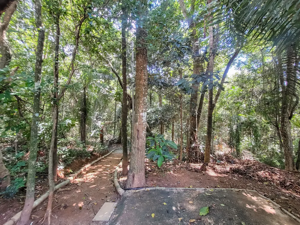 Apartamento, 2 quartos, 44 m² - Foto 3