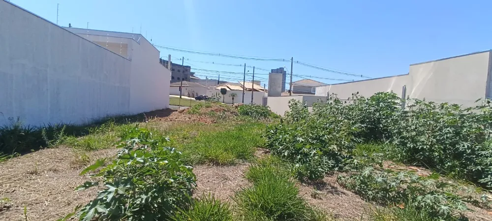 Terreno - Foto 3