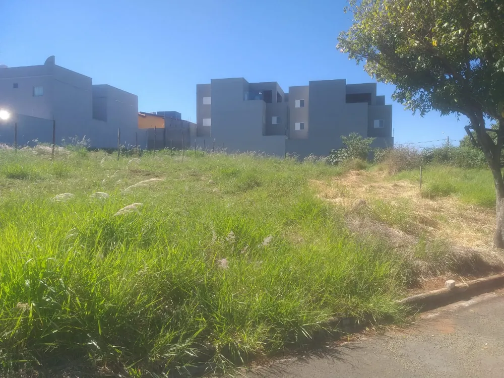 Terreno - Foto 4
