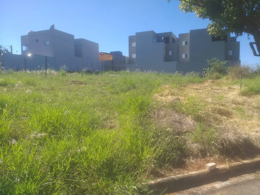 Terreno - Foto 3