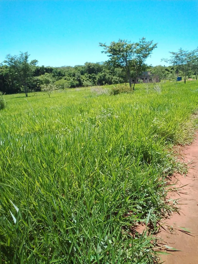 Terreno, 500 m² - Foto 1