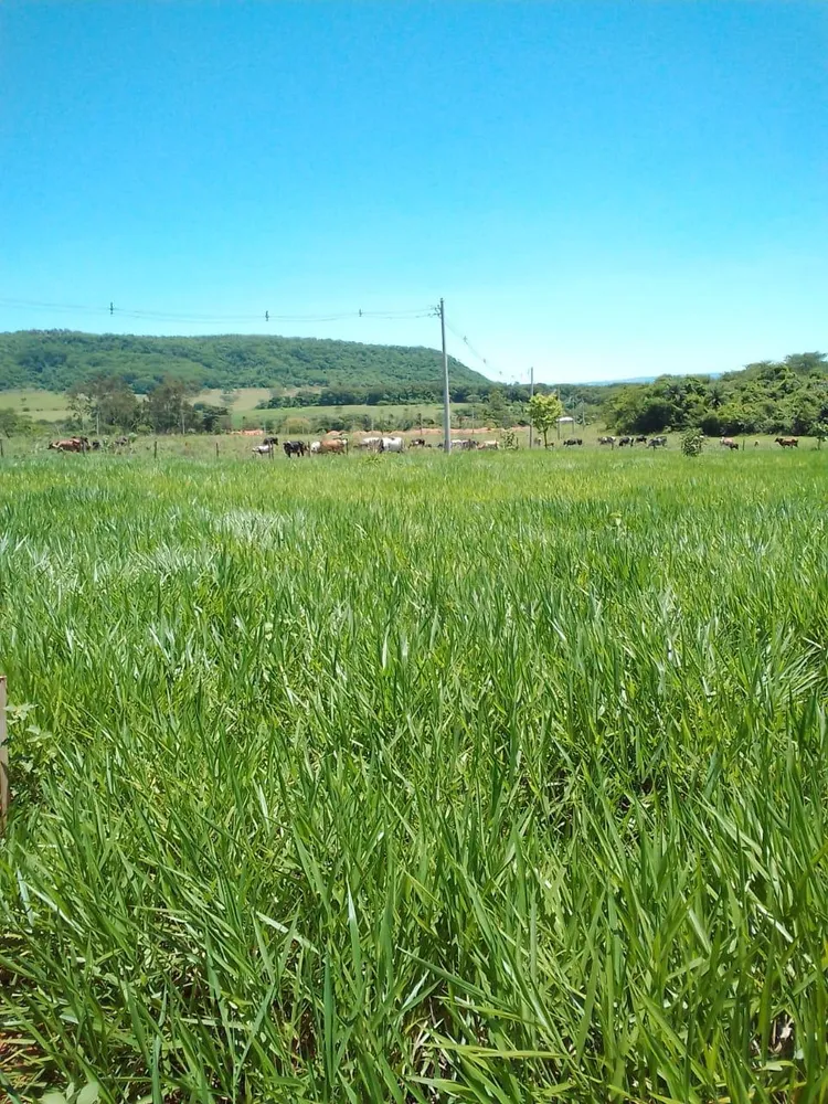 Terreno, 500 m² - Foto 2