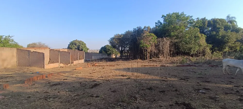 Terreno - Foto 3