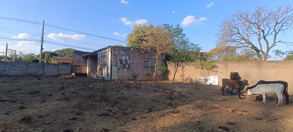Terreno - Foto 4