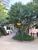 Apartamento, 1 quarto, 117 m² - Foto 15