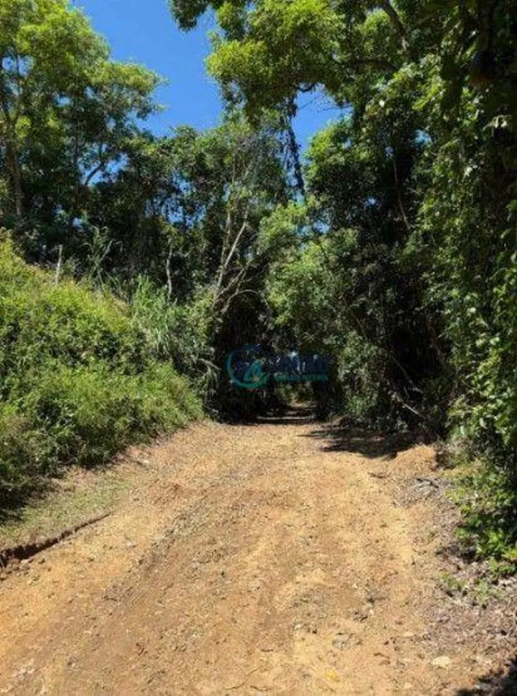 Terreno, 525 m² - Foto 14