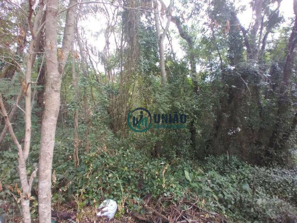 Terreno, 570 m² - Foto 15