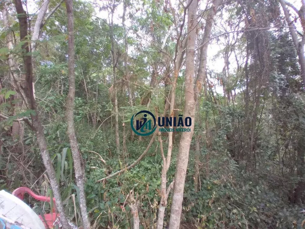 Terreno, 570 m² - Foto 6
