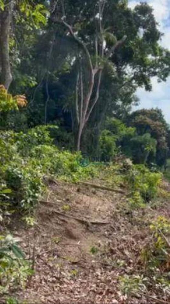 Terreno, 800 m² - Foto 3