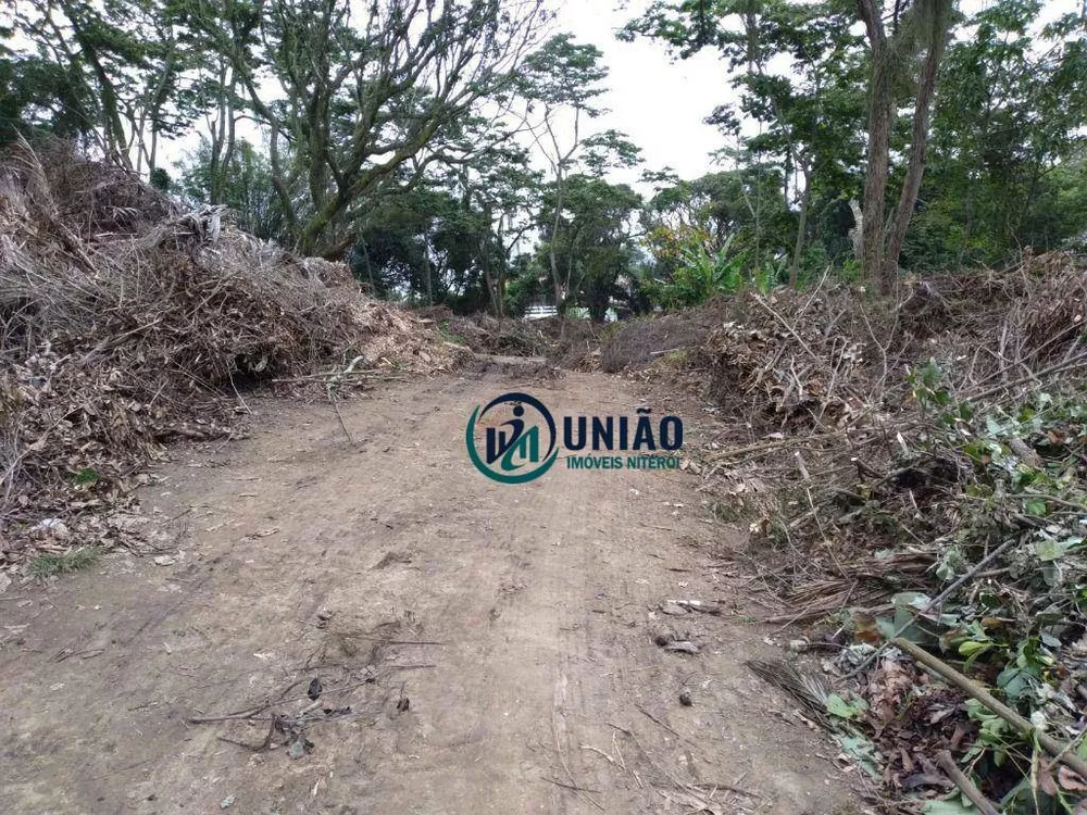 Terreno, 3700 m² - Foto 5