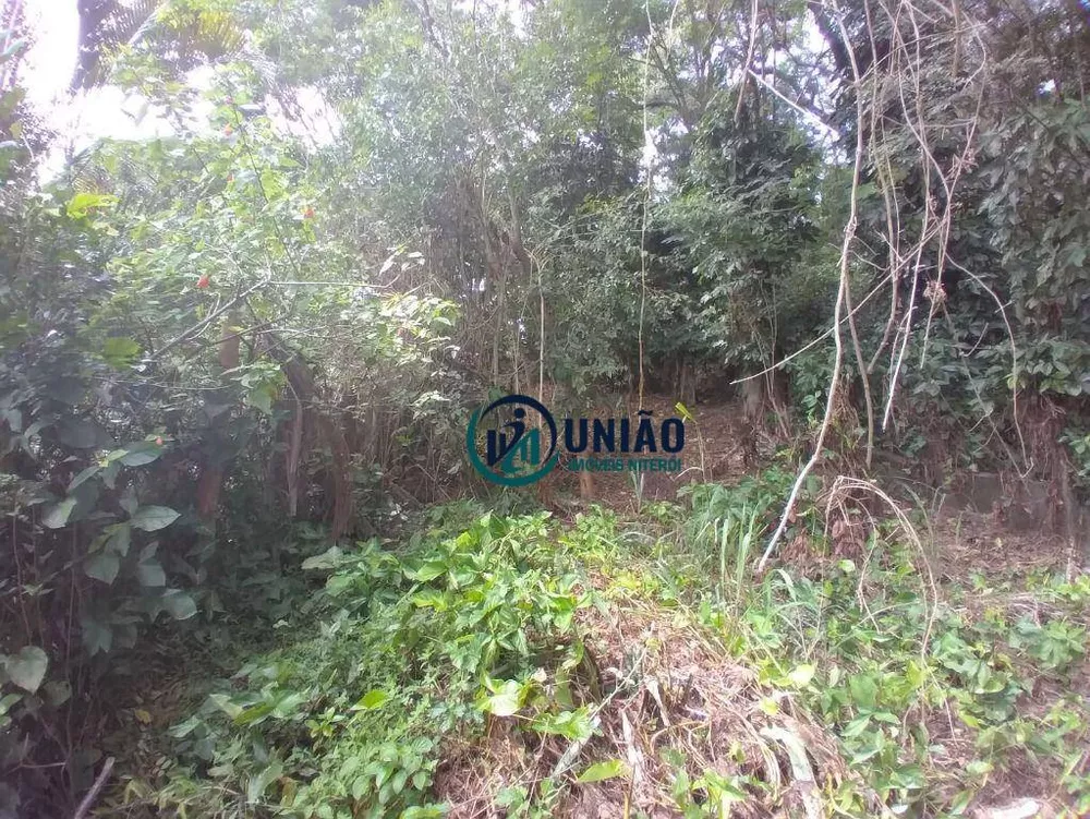 Terreno, 1000 m² - Foto 12