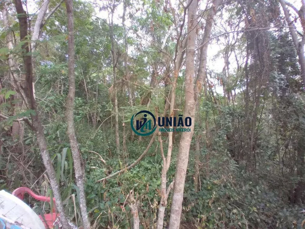 Terreno, 1000 m² - Foto 14
