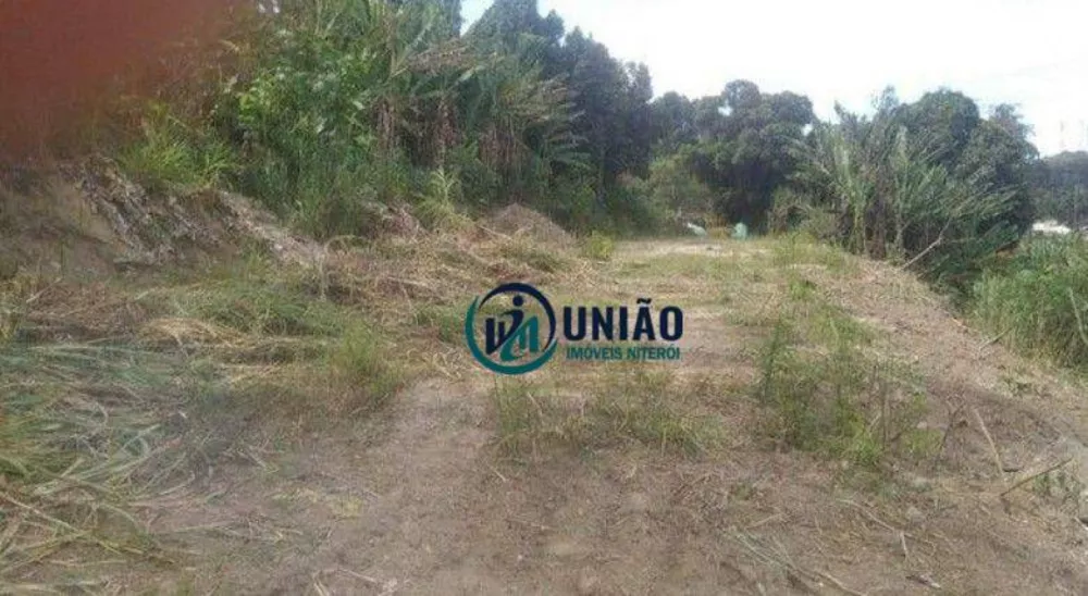 Terreno, 1 hectares - Foto 14