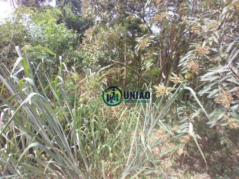 Loteamento e Condomínio, 726 m² - Foto 7