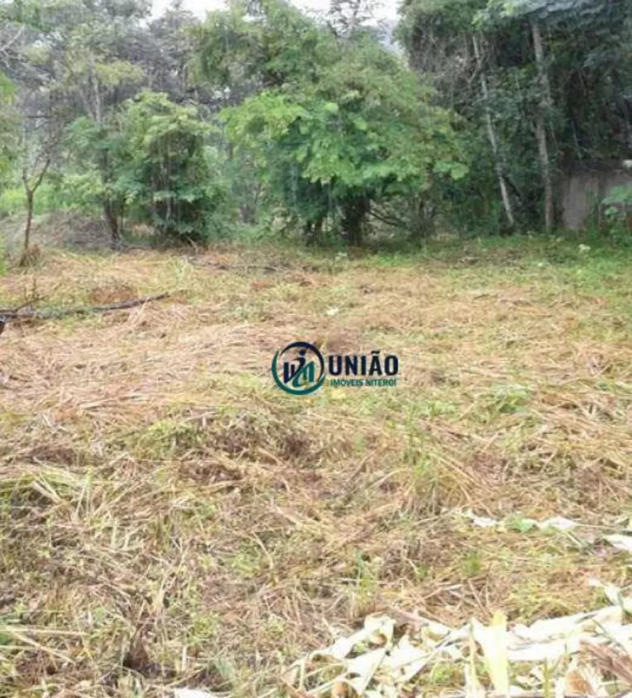 Terreno, 650 m² - Foto 2