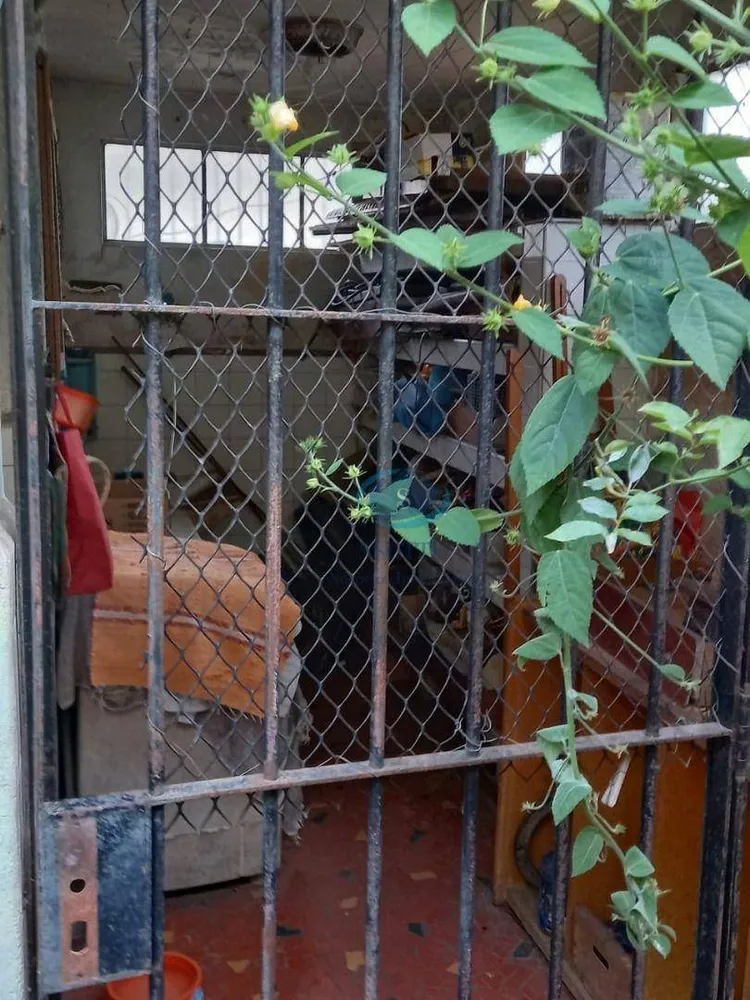 Casa, 3 quartos, 260 m² - Foto 4