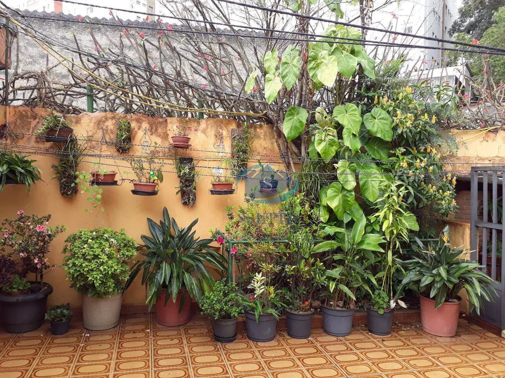 Casa, 3 quartos, 520 m² - Foto 13