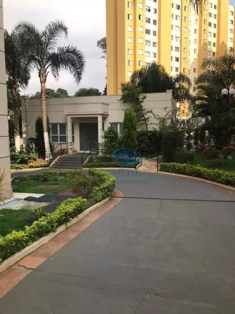 Apartamento, 3 quartos, 66 m² - Foto 21