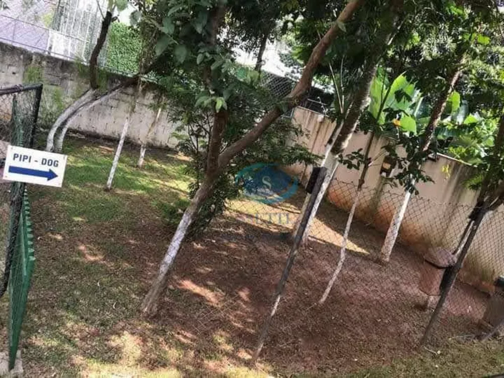 Apartamento, 3 quartos, 66 m² - Foto 26