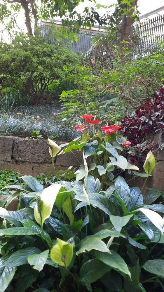 Apartamento, 3 quartos, 64 m² - Foto 12