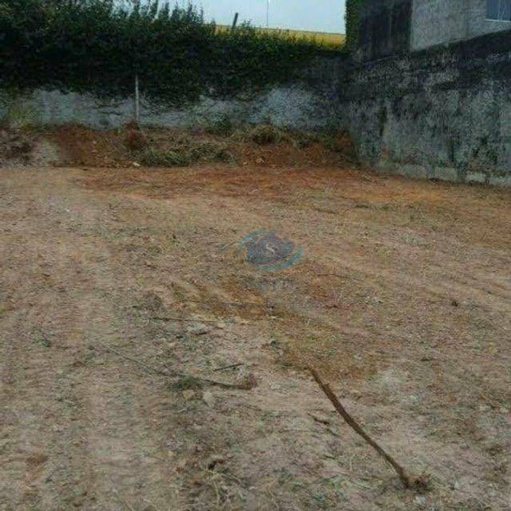 Terreno, 3300 m² - Foto 3