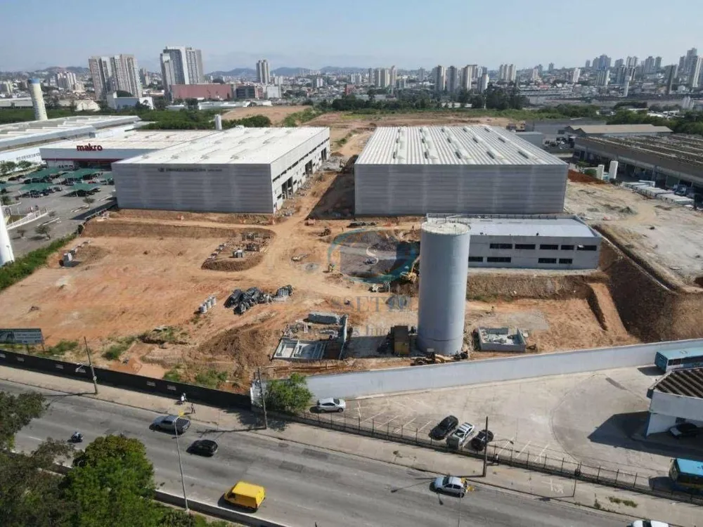 Terreno, 8 hectares - Foto 4