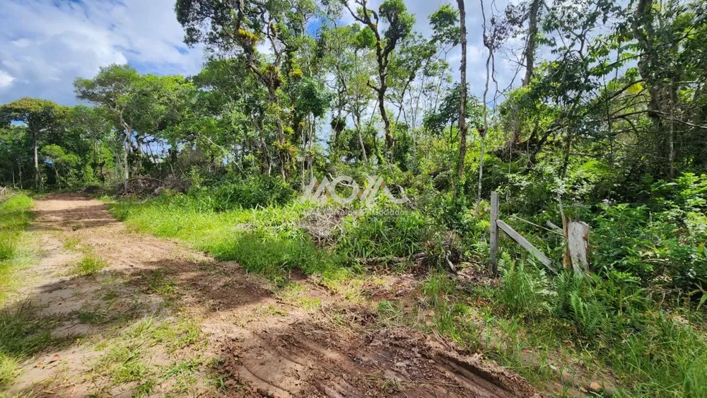 Terreno, 375 m² - Foto 8
