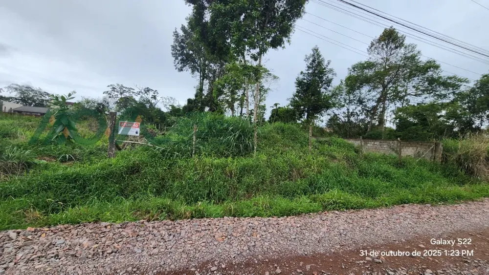 Terreno - Foto 2