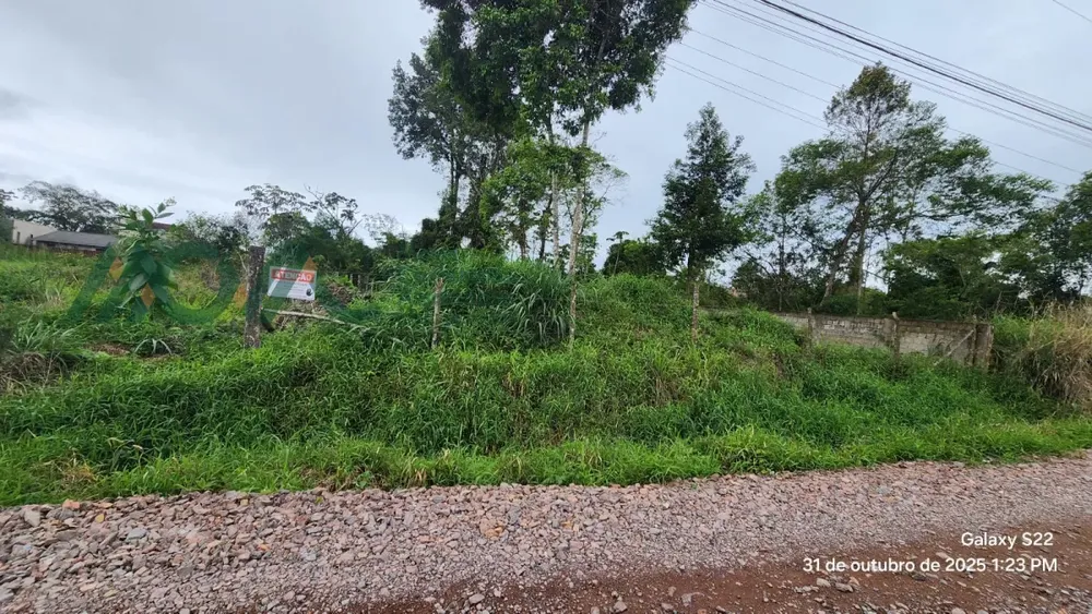 Terreno - Foto 5