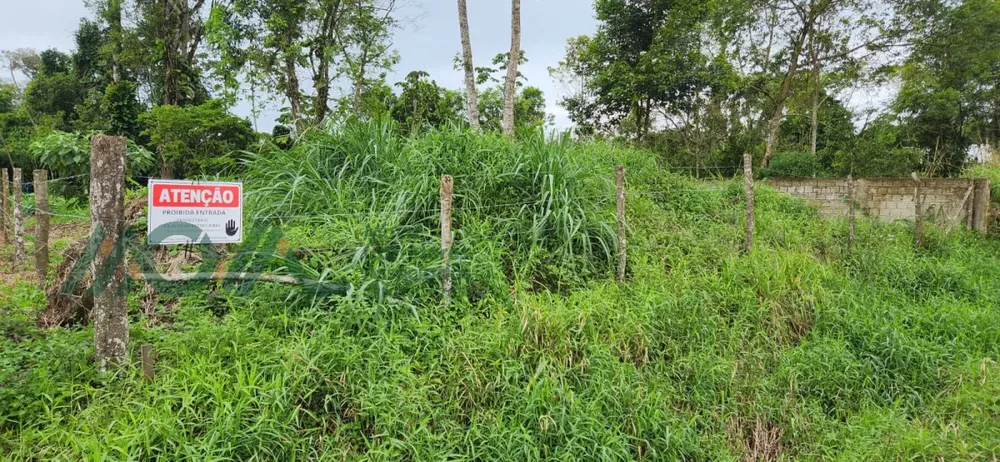 Terreno - Foto 6