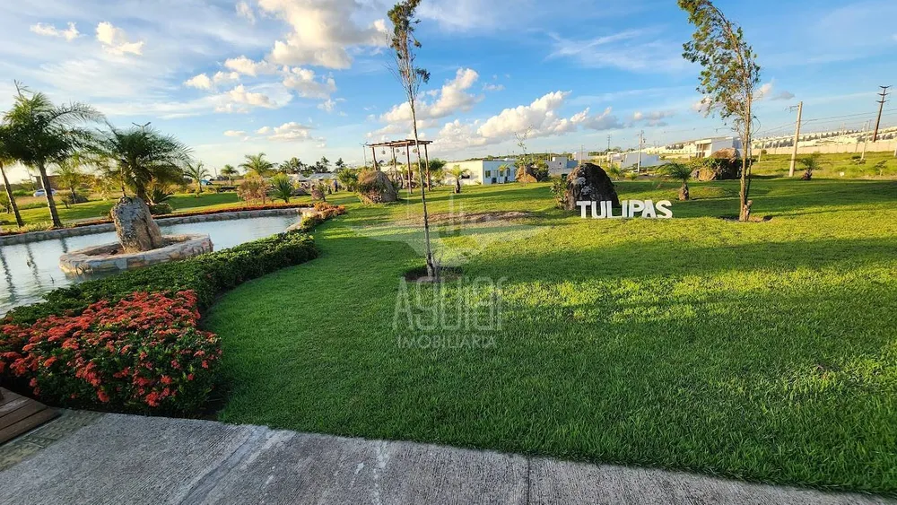 Terreno, 200 m² - Foto 6