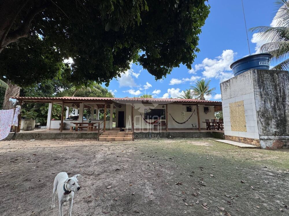 Chácara à venda com 3 quartos, 10000m² - Foto 6