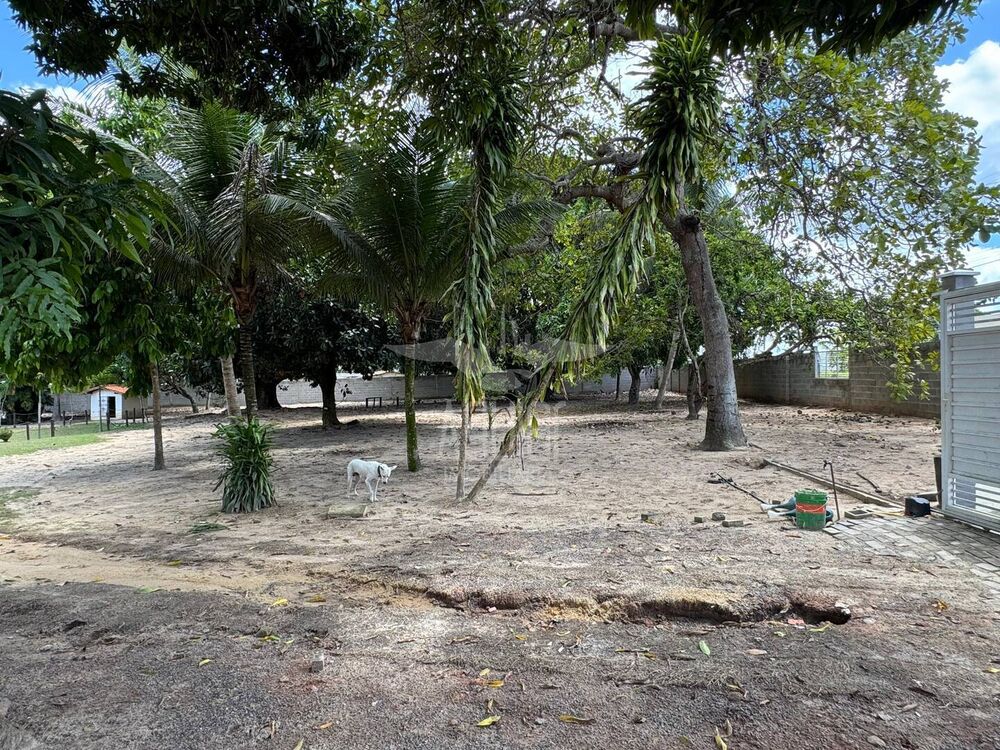 Chácara à venda com 3 quartos, 10000m² - Foto 18