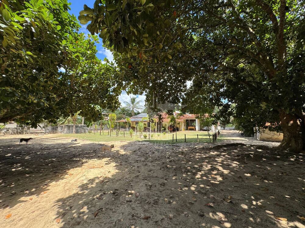 Chácara à venda com 3 quartos, 10000m² - Foto 20