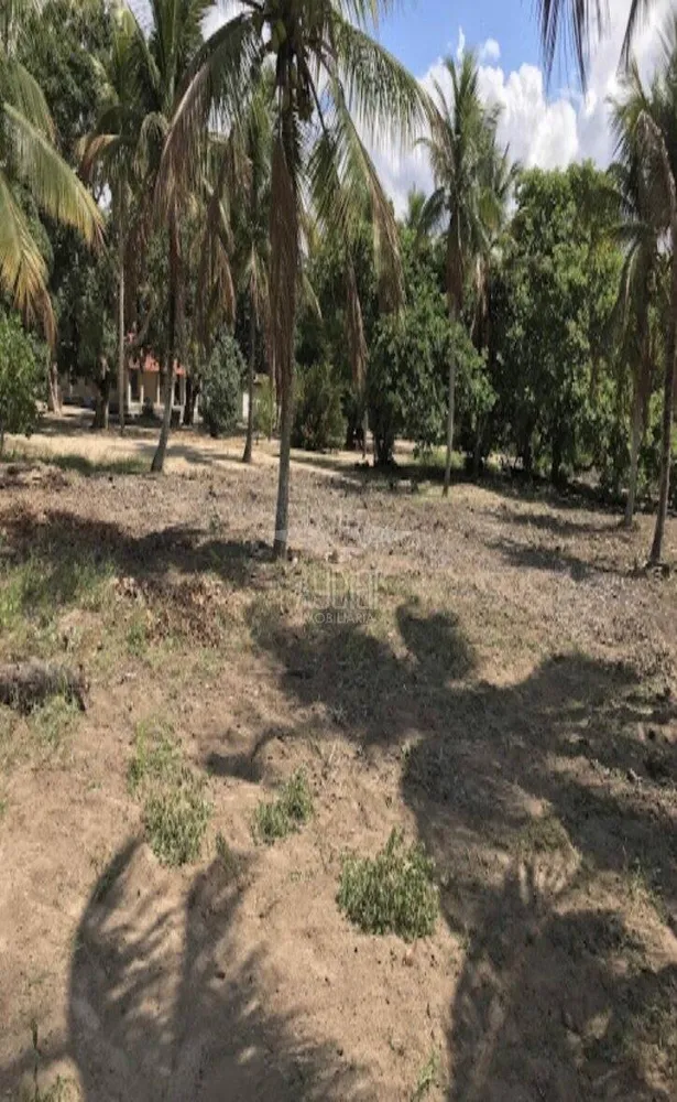 Terreno, 2 hectares - Foto 1
