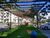 Apartamento, 2 quartos, 43 m² - Foto 20