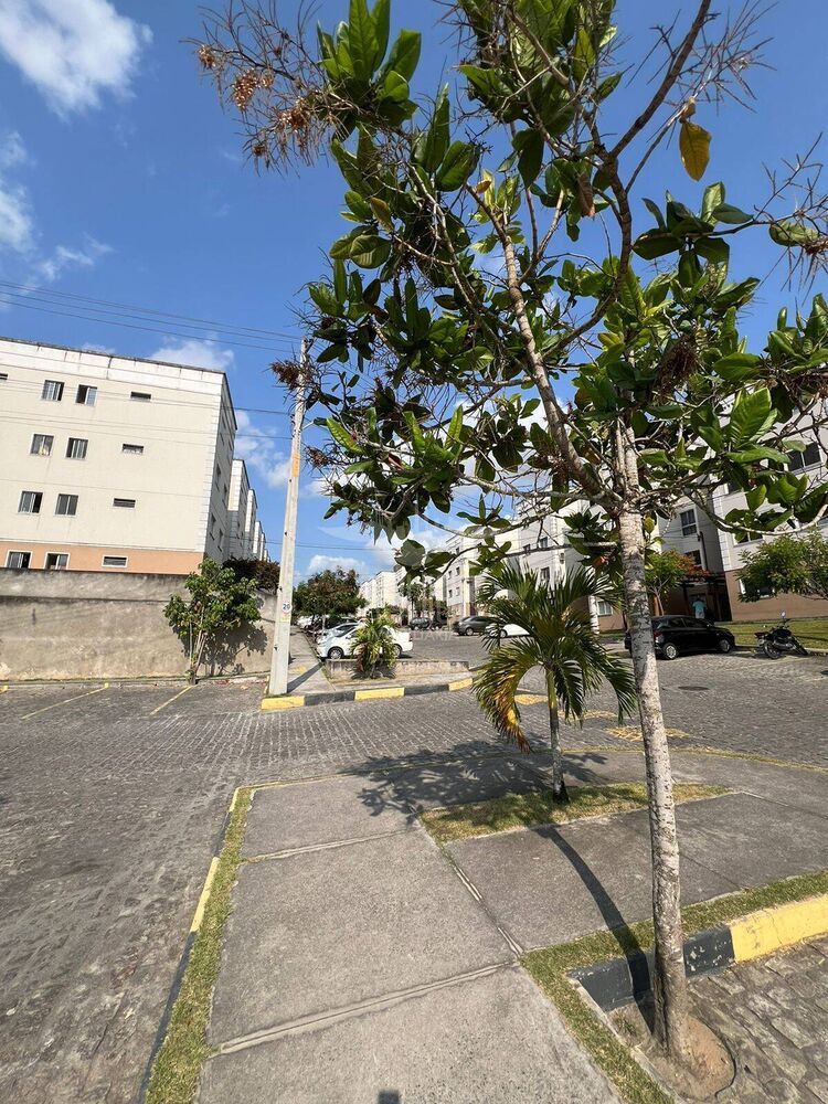 Apartamento à venda com 2 quartos, 50m² - Foto 19