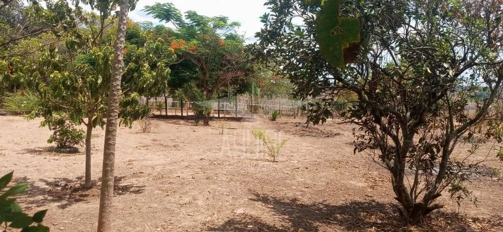 Terreno, 1000 m² - Foto 3