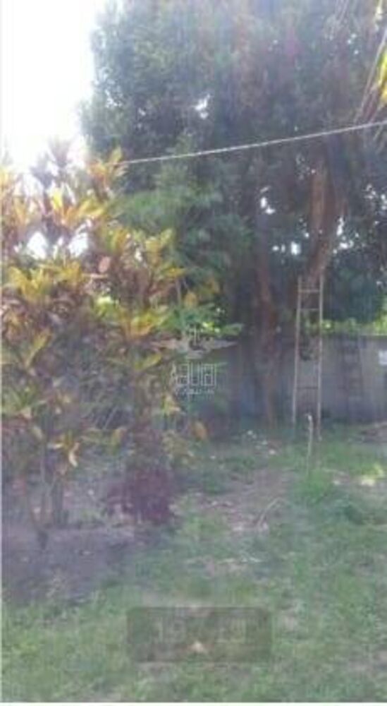 Chácara à venda com 2 quartos, 1m² - Foto 4