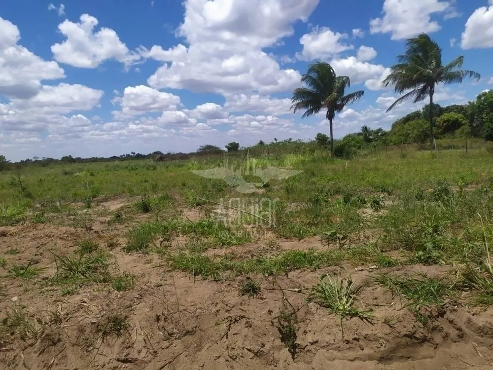 Terreno, 3 hectares - Foto 4