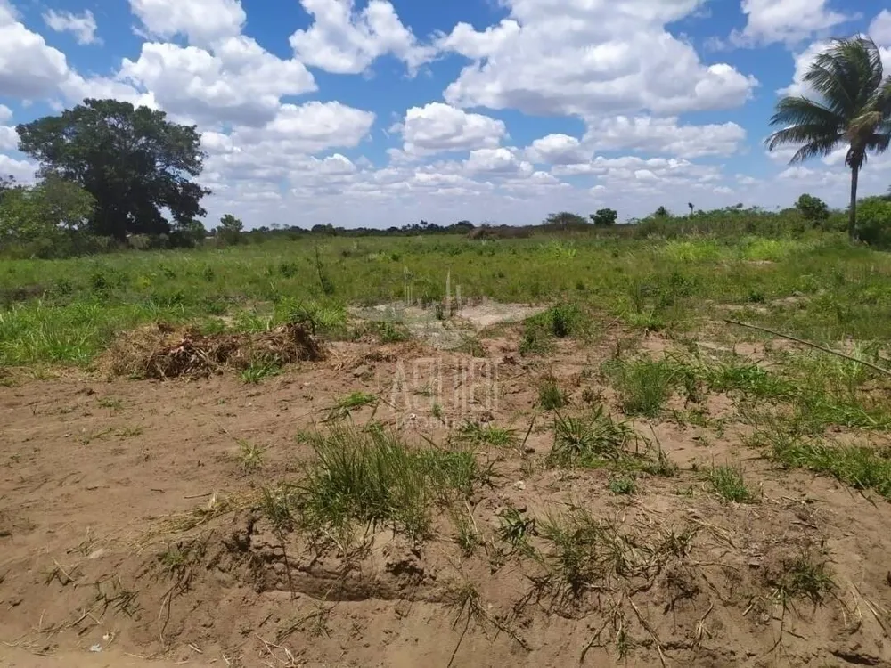 Terreno, 3 hectares - Foto 2