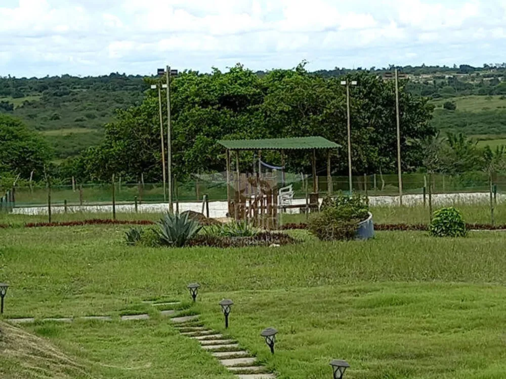 Chácara, 5 quartos, 3 hectares - Foto 8