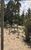 Terreno, 2 hectares - Foto 4