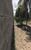 Terreno, 2 hectares - Foto 3