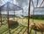 Terreno, 200 m² - Foto 9