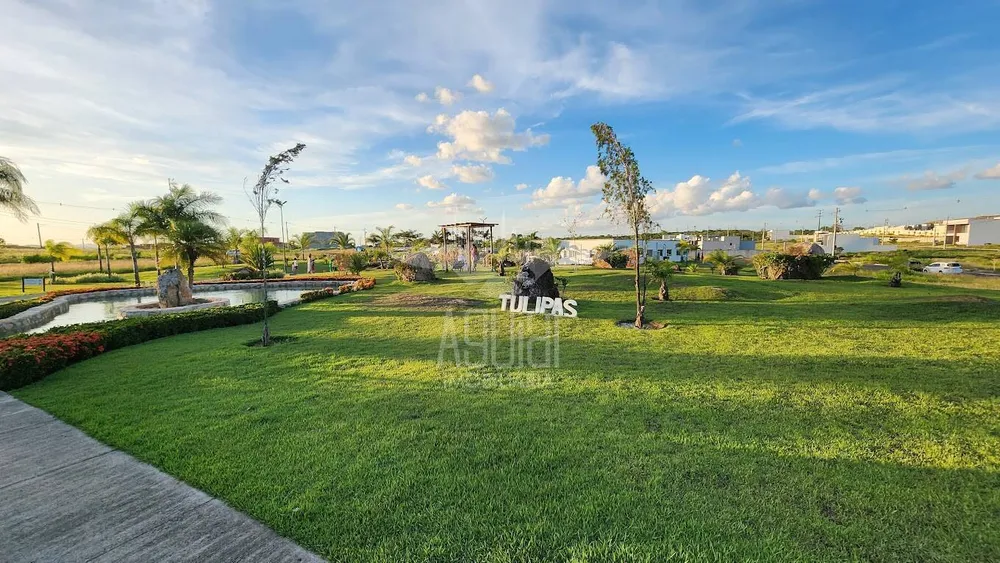 Terreno, 200 m² - Foto 5