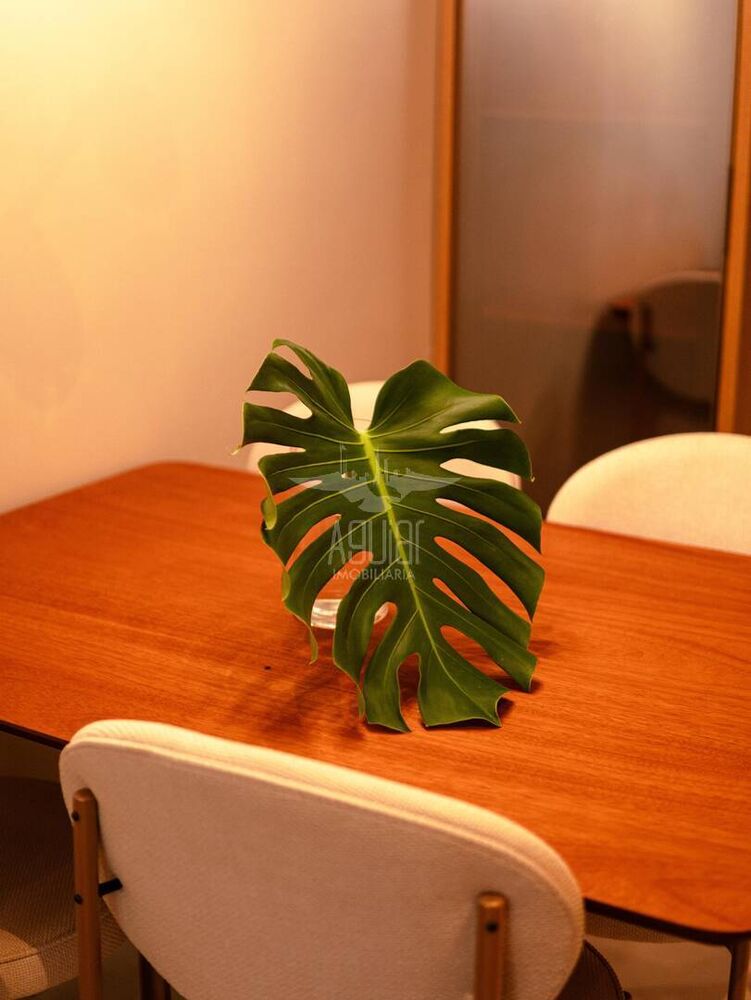 Casa à venda com 2 quartos, 55m² - Foto 26